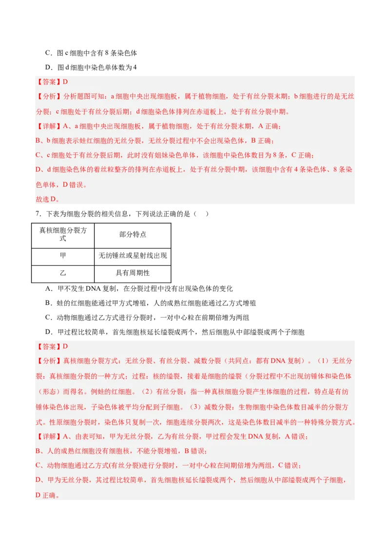 考点通关卷12细胞增殖（解析版）_2025年新高考资料_一轮复习_2025年高考生物一轮复习考点通关卷（新高考通用）_考点通关卷12细胞增殖-2025年高考生物一轮复习考点通关卷（新高考通用）