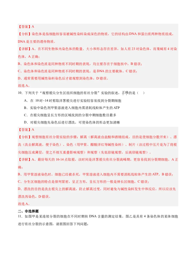 考点通关卷12细胞增殖（解析版）_2025年新高考资料_一轮复习_2025年高考生物一轮复习考点通关卷（新高考通用）_考点通关卷12细胞增殖-2025年高考生物一轮复习考点通关卷（新高考通用）