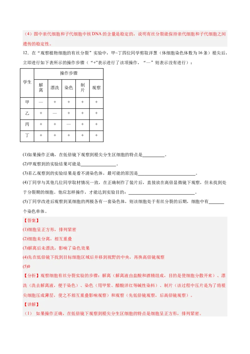 考点通关卷12细胞增殖（解析版）_2025年新高考资料_一轮复习_2025年高考生物一轮复习考点通关卷（新高考通用）_考点通关卷12细胞增殖-2025年高考生物一轮复习考点通关卷（新高考通用）