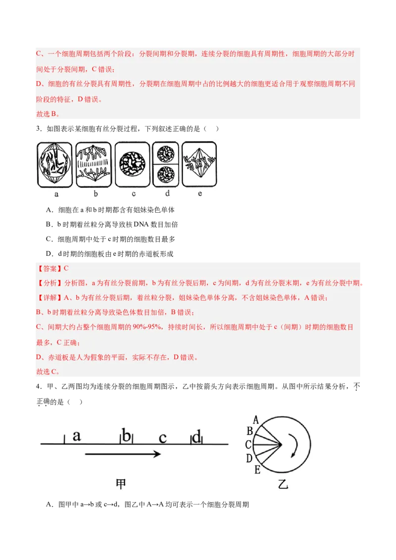 考点通关卷12细胞增殖（解析版）_2025年新高考资料_一轮复习_2025年高考生物一轮复习考点通关卷（新高考通用）_考点通关卷12细胞增殖-2025年高考生物一轮复习考点通关卷（新高考通用）