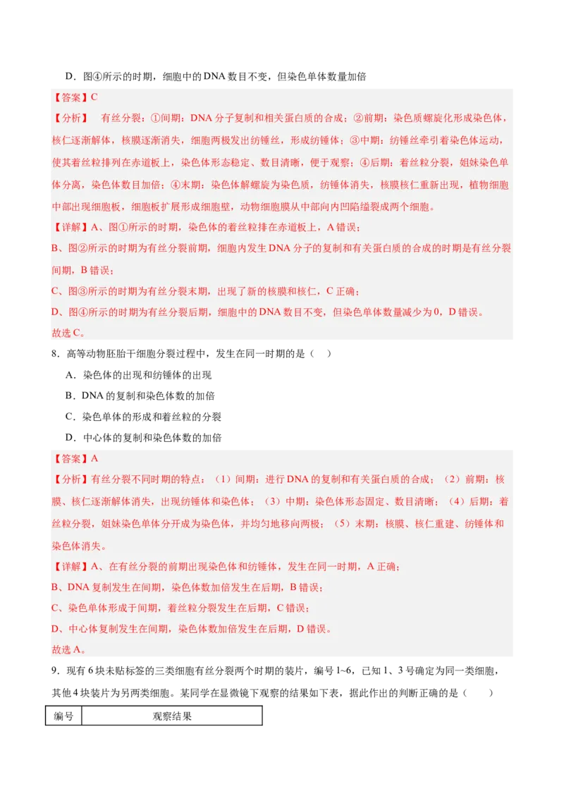考点通关卷12细胞增殖（解析版）_2025年新高考资料_一轮复习_2025年高考生物一轮复习考点通关卷（新高考通用）_考点通关卷12细胞增殖-2025年高考生物一轮复习考点通关卷（新高考通用）