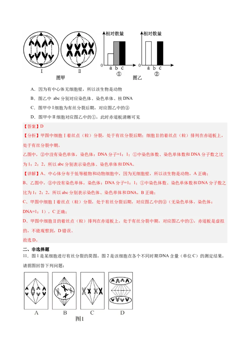 考点通关卷12细胞增殖（解析版）_2025年新高考资料_一轮复习_2025年高考生物一轮复习考点通关卷（新高考通用）_考点通关卷12细胞增殖-2025年高考生物一轮复习考点通关卷（新高考通用）