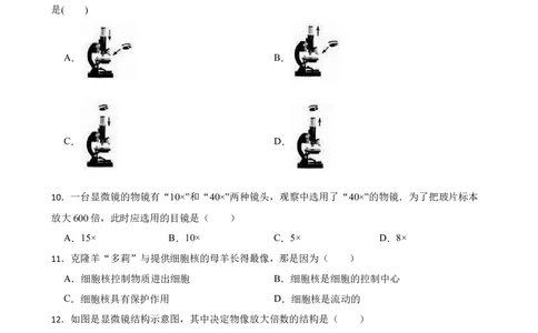 人教版2023届中考一轮复习专用训练卷&mdash;专题3细胞是生命活动的基本单位（一）（含解析）_6生物中考复习_2023年中考复习资料_一轮复习_人教版2023届中考生物一轮复习专用训练卷