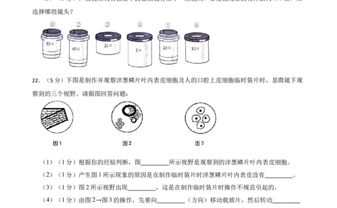人教版2023届中考一轮复习专用训练卷&mdash;专题3细胞是生命活动的基本单位（一）（含解析）_6生物中考复习_2023年中考复习资料_一轮复习_人教版2023届中考生物一轮复习专用训练卷