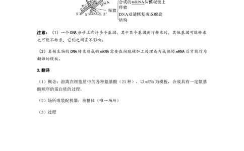 考点20基因的表达（原卷版）_通用版（老高考）复习资料_2023年复习资料_一轮复习_2023年高考生物一轮复习讲练测（全国通用）