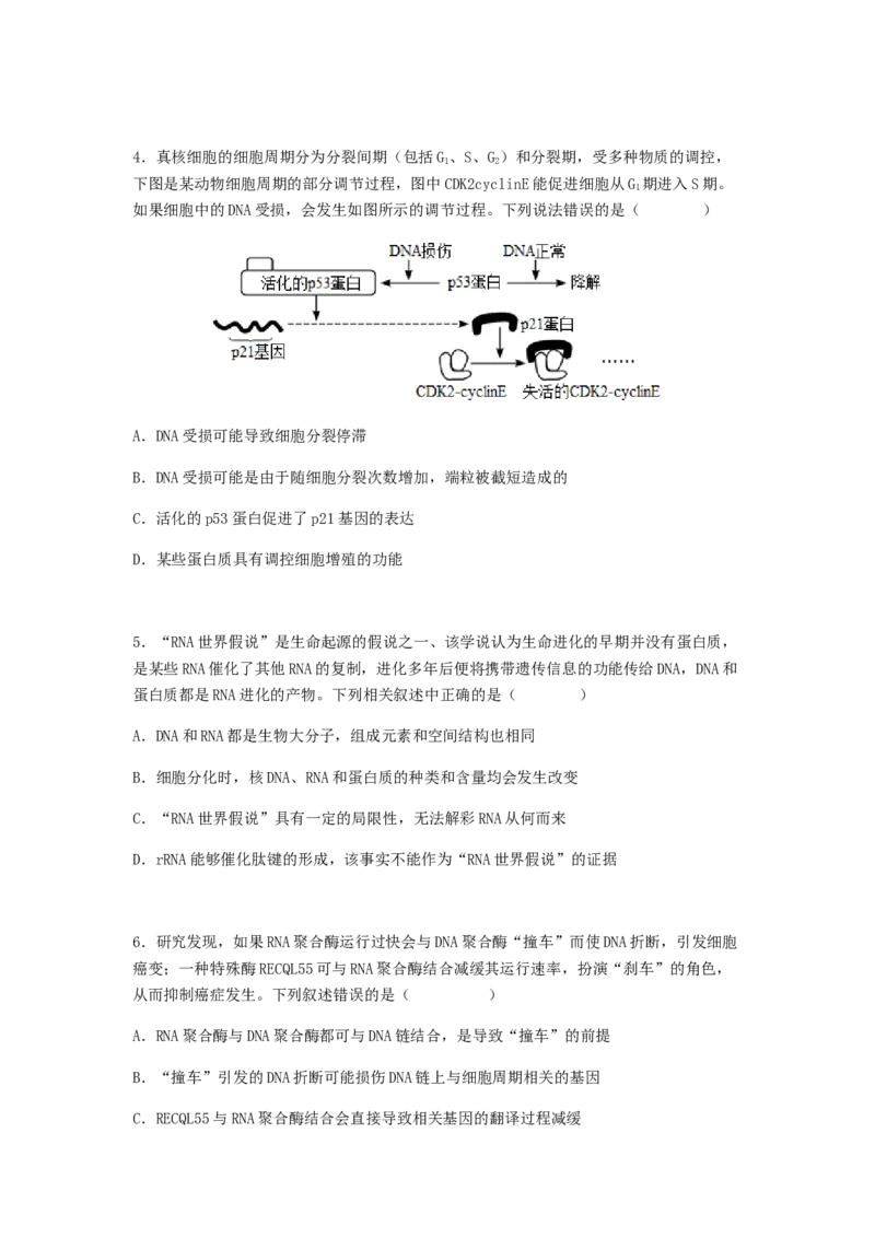 考点20基因的表达（原卷版）_通用版（老高考）复习资料_2023年复习资料_一轮复习_2023年高考生物一轮复习讲练测（全国通用）