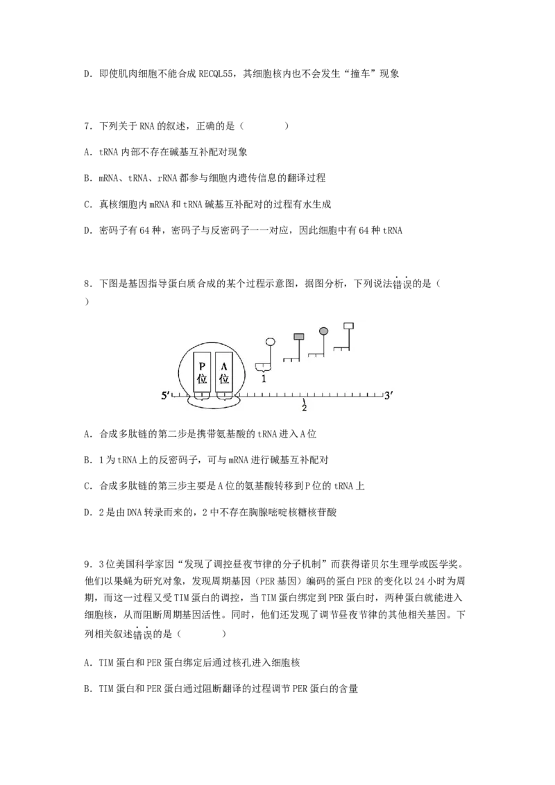 考点20基因的表达（原卷版）_通用版（老高考）复习资料_2023年复习资料_一轮复习_2023年高考生物一轮复习讲练测（全国通用）
