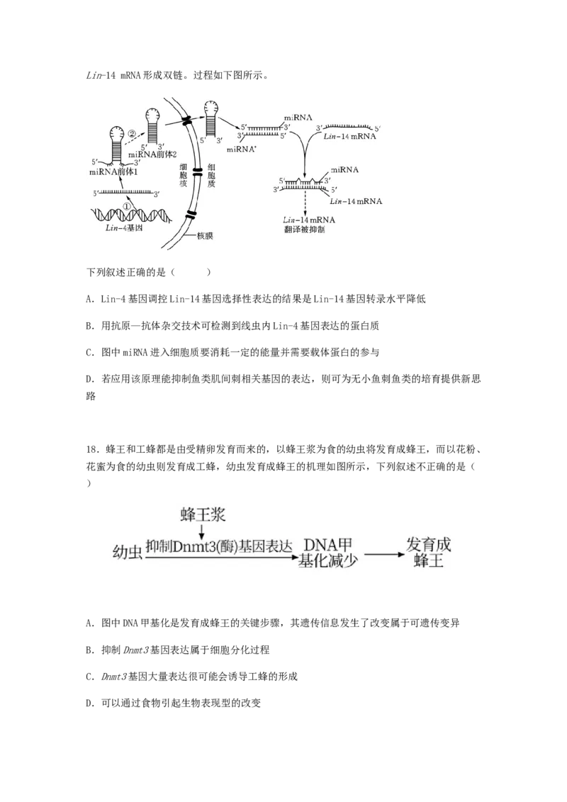 考点20基因的表达（原卷版）_通用版（老高考）复习资料_2023年复习资料_一轮复习_2023年高考生物一轮复习讲练测（全国通用）