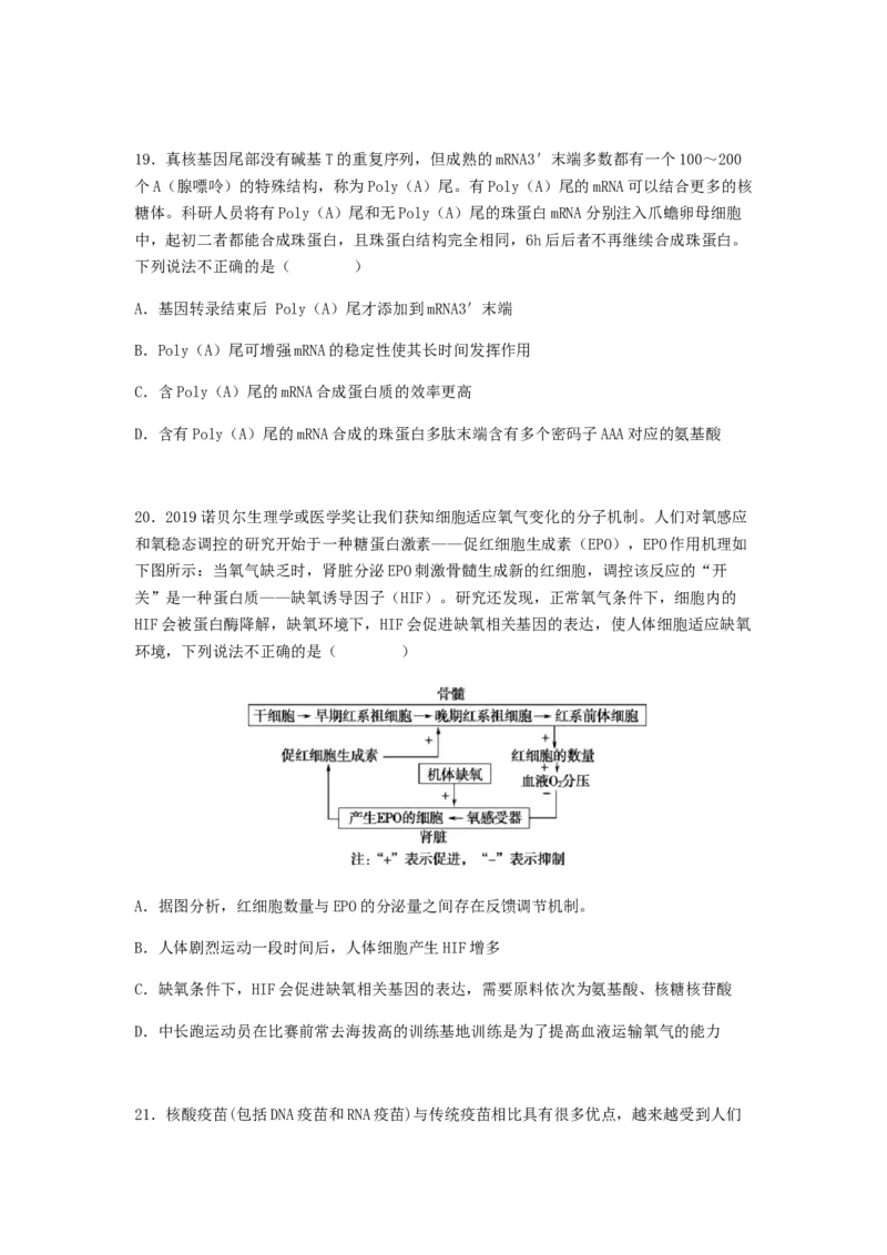 考点20基因的表达（原卷版）_通用版（老高考）复习资料_2023年复习资料_一轮复习_2023年高考生物一轮复习讲练测（全国通用）