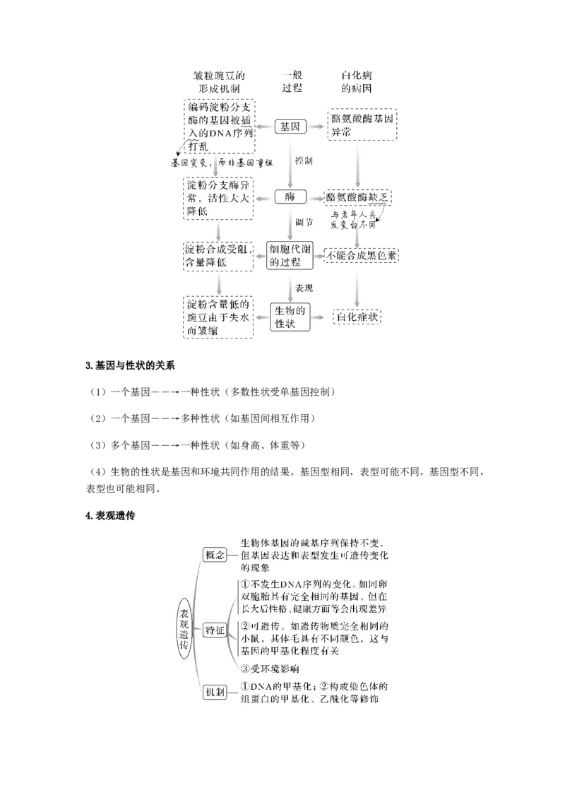 考点20基因的表达（原卷版）_通用版（老高考）复习资料_2023年复习资料_一轮复习_2023年高考生物一轮复习讲练测（全国通用）