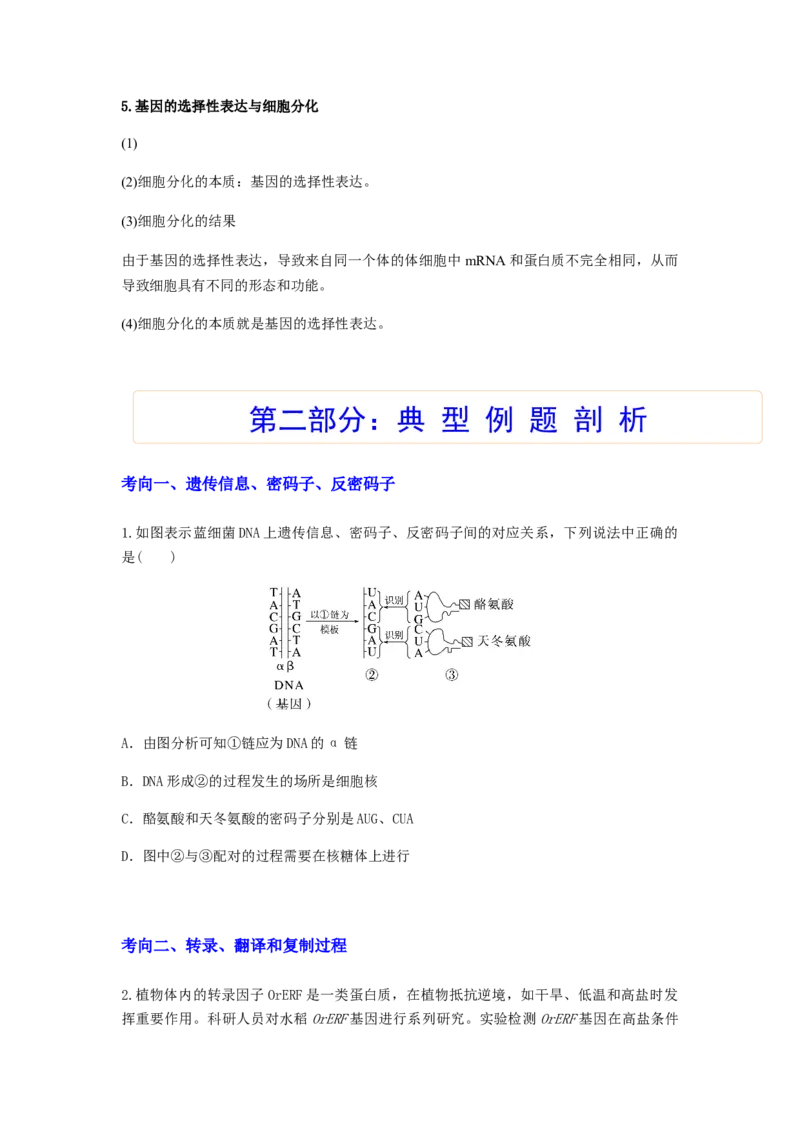 考点20基因的表达（原卷版）_通用版（老高考）复习资料_2023年复习资料_一轮复习_2023年高考生物一轮复习讲练测（全国通用）