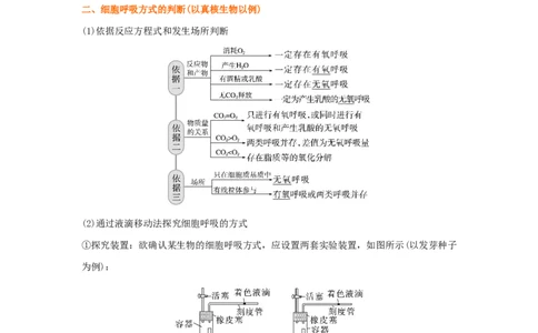考点11细胞呼吸（核心考点讲与练）-2023年高考生物一轮复习讲练测（全国通用）（原卷版）_通用版（老高考）复习资料_2023年复习资料_一轮复习