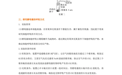 考点11细胞呼吸（核心考点讲与练）-2023年高考生物一轮复习讲练测（全国通用）（原卷版）_通用版（老高考）复习资料_2023年复习资料_一轮复习