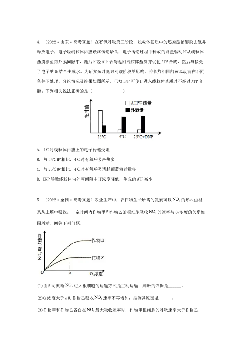 考点11细胞呼吸（核心考点讲与练）-2023年高考生物一轮复习讲练测（全国通用）（原卷版）_通用版（老高考）复习资料_2023年复习资料_一轮复习