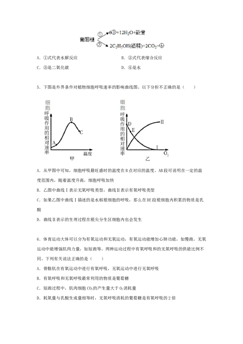 考点11细胞呼吸（核心考点讲与练）-2023年高考生物一轮复习讲练测（全国通用）（原卷版）_通用版（老高考）复习资料_2023年复习资料_一轮复习