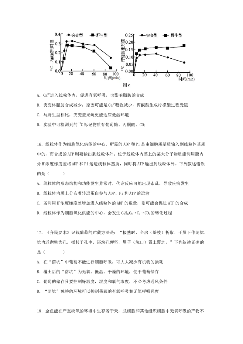 考点11细胞呼吸（核心考点讲与练）-2023年高考生物一轮复习讲练测（全国通用）（原卷版）_通用版（老高考）复习资料_2023年复习资料_一轮复习