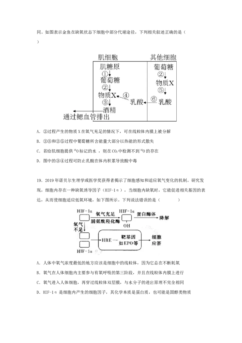 考点11细胞呼吸（核心考点讲与练）-2023年高考生物一轮复习讲练测（全国通用）（原卷版）_通用版（老高考）复习资料_2023年复习资料_一轮复习