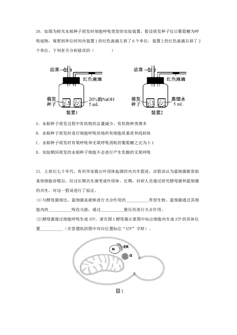考点11细胞呼吸（核心考点讲与练）-2023年高考生物一轮复习讲练测（全国通用）（原卷版）_通用版（老高考）复习资料_2023年复习资料_一轮复习
