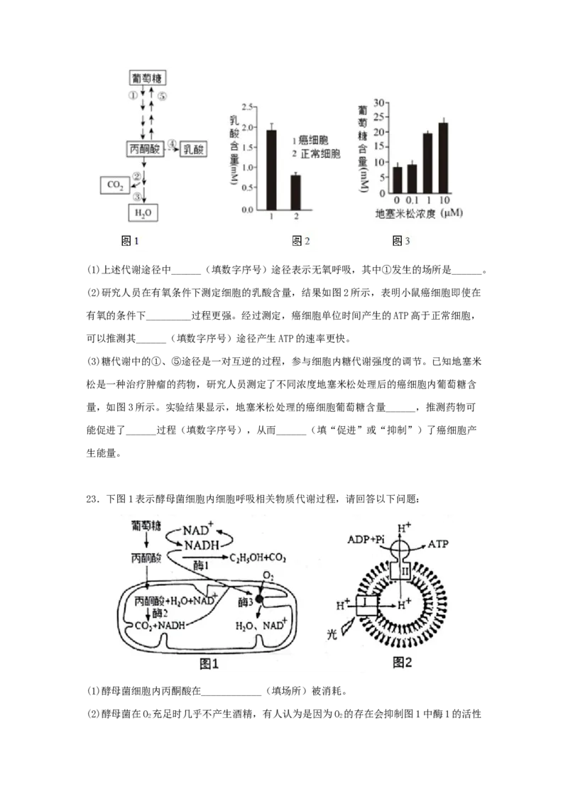 考点11细胞呼吸（核心考点讲与练）-2023年高考生物一轮复习讲练测（全国通用）（原卷版）_通用版（老高考）复习资料_2023年复习资料_一轮复习
