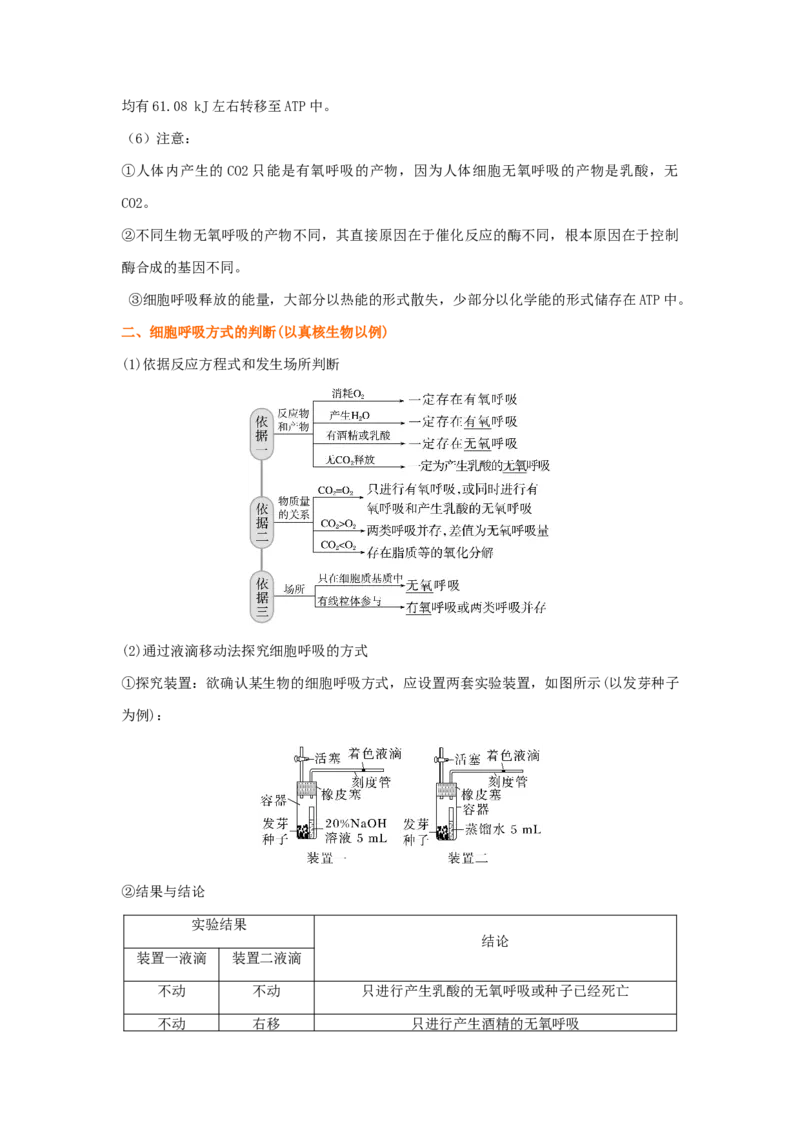 考点11细胞呼吸（核心考点讲与练）-2023年高考生物一轮复习讲练测（全国通用）（原卷版）_通用版（老高考）复习资料_2023年复习资料_一轮复习