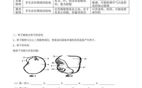 专题三绿色开花植物的一生-2023年中考生物核心考点必背合集_6生物中考复习_2023年中考复习资料_专项复习_2023年中考生物核心考点必背合集-----