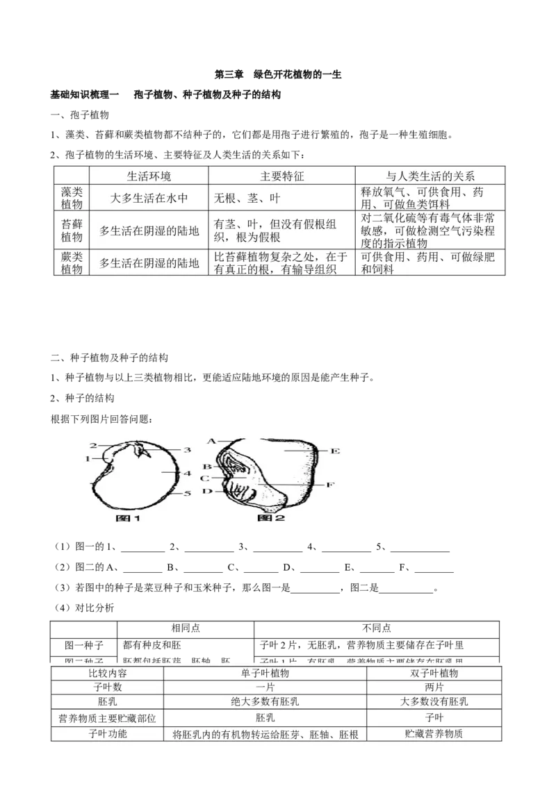 专题三绿色开花植物的一生-2023年中考生物核心考点必背合集_6生物中考复习_2023年中考复习资料_专项复习_2023年中考生物核心考点必背合集-----