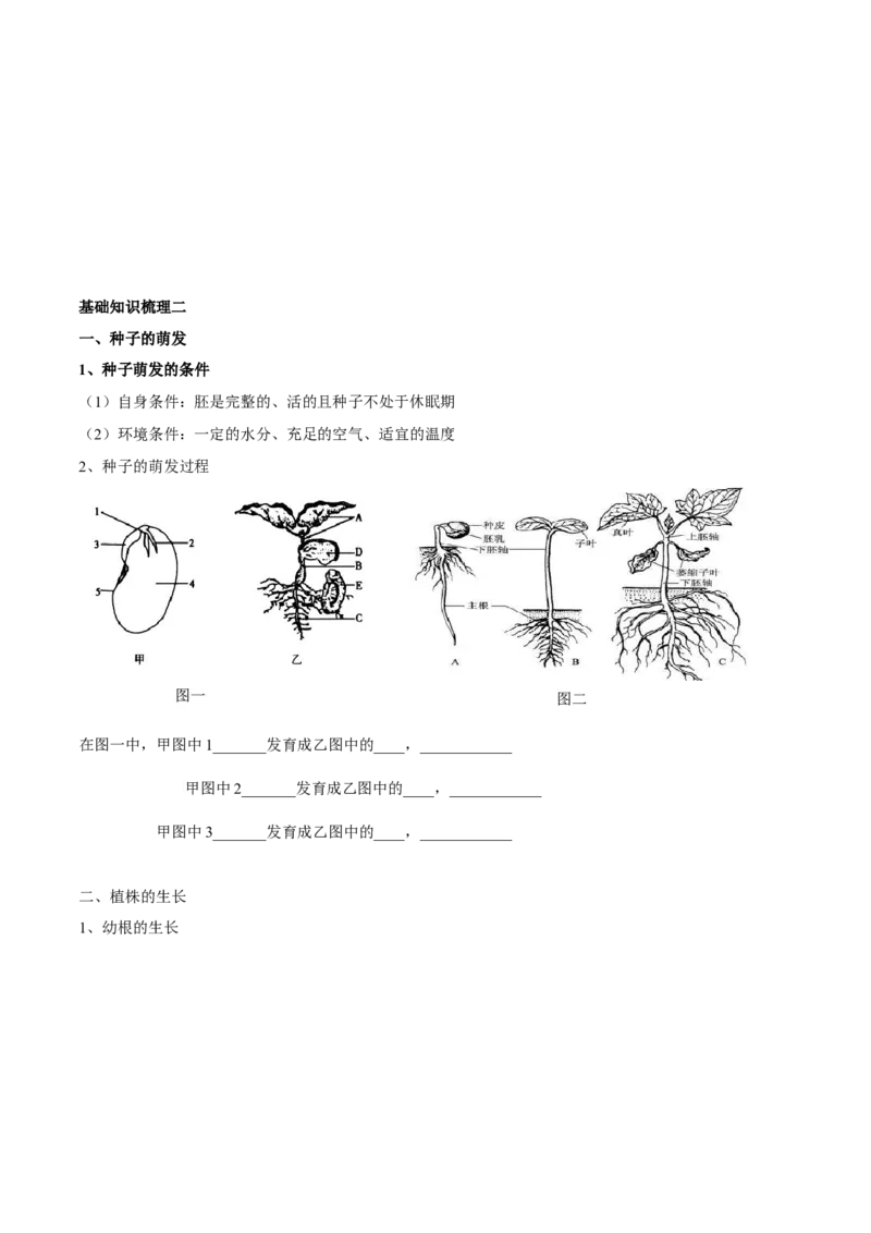 专题三绿色开花植物的一生-2023年中考生物核心考点必背合集_6生物中考复习_2023年中考复习资料_专项复习_2023年中考生物核心考点必背合集-----