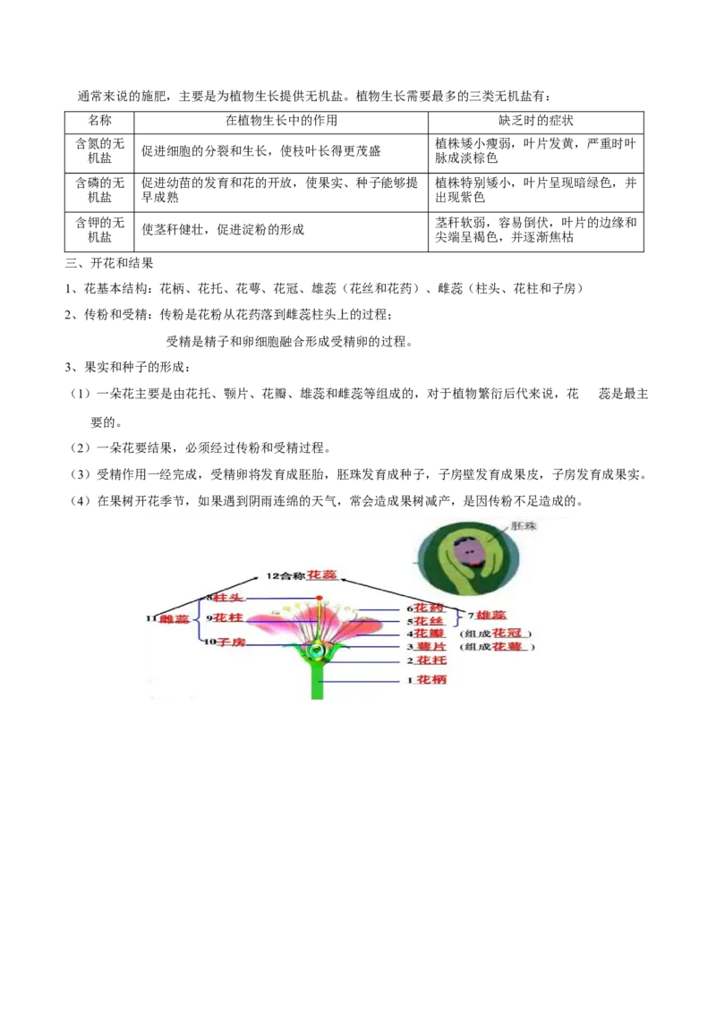 专题三绿色开花植物的一生-2023年中考生物核心考点必背合集_6生物中考复习_2023年中考复习资料_专项复习_2023年中考生物核心考点必背合集-----