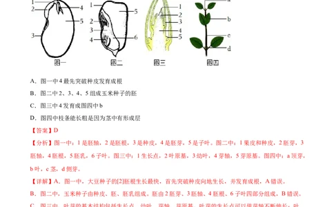 主题04植物的生活（解析版）_6生物中考复习_2023年中考复习资料_二轮复习_2023年中考生物二轮复习讲练测_主题04植物的生活（测试）-2023年中考生物二轮复习讲练测_38943966
