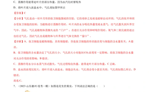 主题04植物的生活（解析版）_6生物中考复习_2023年中考复习资料_二轮复习_2023年中考生物二轮复习讲练测_主题04植物的生活（测试）-2023年中考生物二轮复习讲练测_38943966