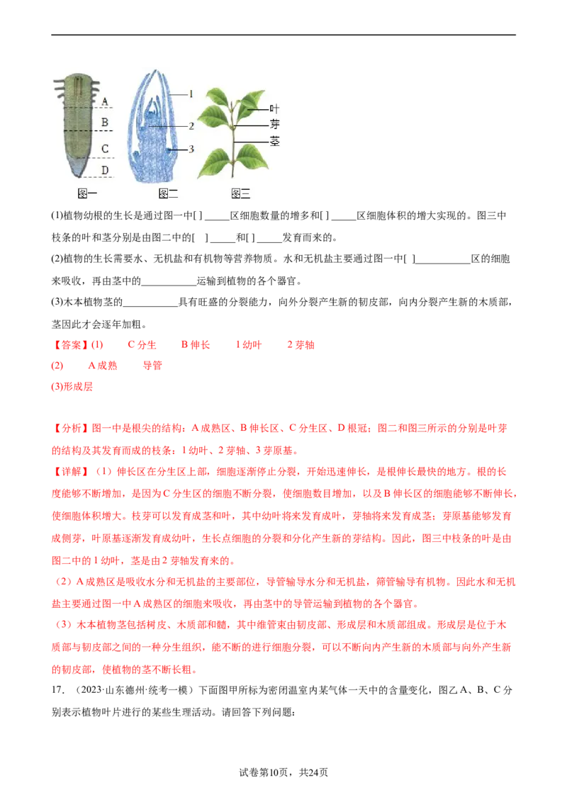 主题04植物的生活（解析版）_6生物中考复习_2023年中考复习资料_二轮复习_2023年中考生物二轮复习讲练测_主题04植物的生活（测试）-2023年中考生物二轮复习讲练测_38943966