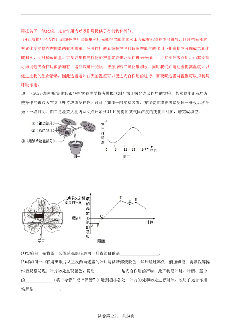 主题04植物的生活（解析版）_6生物中考复习_2023年中考复习资料_二轮复习_2023年中考生物二轮复习讲练测_主题04植物的生活（测试）-2023年中考生物二轮复习讲练测_38943966