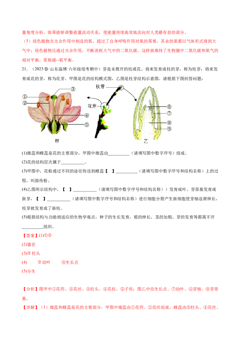 主题04植物的生活（解析版）_6生物中考复习_2023年中考复习资料_二轮复习_2023年中考生物二轮复习讲练测_主题04植物的生活（测试）-2023年中考生物二轮复习讲练测_38943966