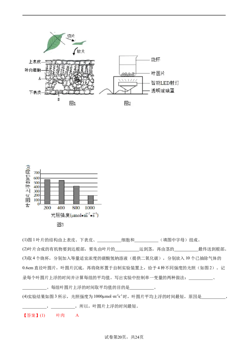 主题04植物的生活（解析版）_6生物中考复习_2023年中考复习资料_二轮复习_2023年中考生物二轮复习讲练测_主题04植物的生活（测试）-2023年中考生物二轮复习讲练测_38943966