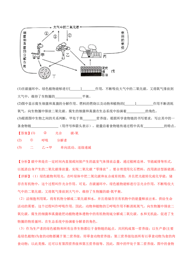 主题04植物的生活（解析版）_6生物中考复习_2023年中考复习资料_二轮复习_2023年中考生物二轮复习讲练测_主题04植物的生活（测试）-2023年中考生物二轮复习讲练测_38943966