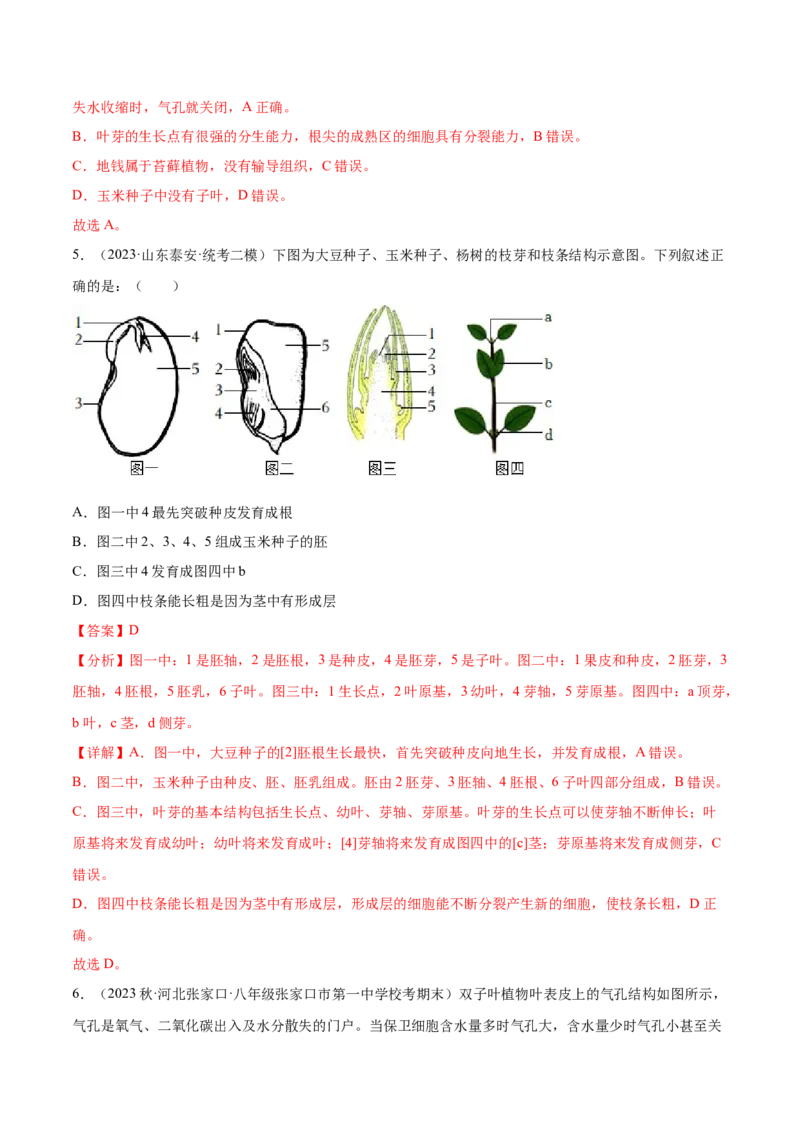 主题04植物的生活（解析版）_6生物中考复习_2023年中考复习资料_二轮复习_2023年中考生物二轮复习讲练测_主题04植物的生活（测试）-2023年中考生物二轮复习讲练测_38943966