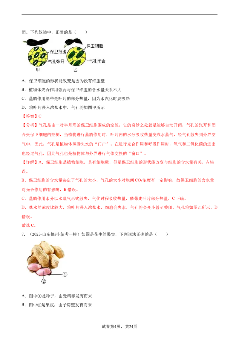 主题04植物的生活（解析版）_6生物中考复习_2023年中考复习资料_二轮复习_2023年中考生物二轮复习讲练测_主题04植物的生活（测试）-2023年中考生物二轮复习讲练测_38943966