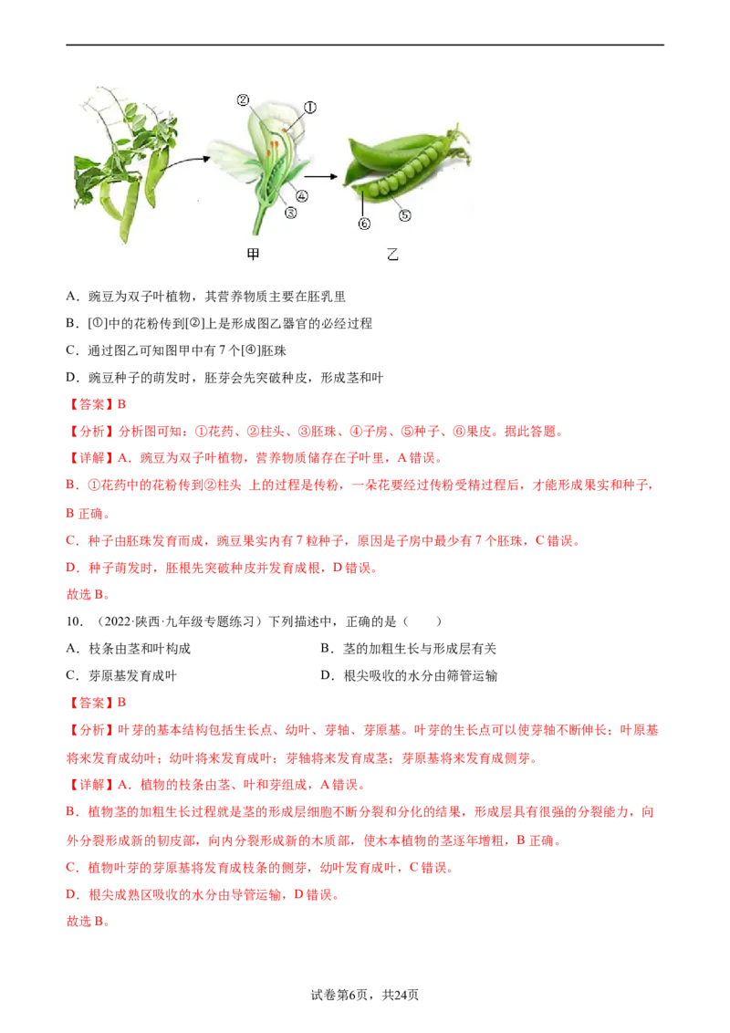 主题04植物的生活（解析版）_6生物中考复习_2023年中考复习资料_二轮复习_2023年中考生物二轮复习讲练测_主题04植物的生活（测试）-2023年中考生物二轮复习讲练测_38943966