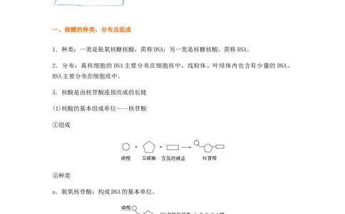 考点06核酸的结构和功能（解析版）_通用版（老高考）复习资料_2023年复习资料_一轮复习_2023年高考生物一轮复习讲练测（全国通用）