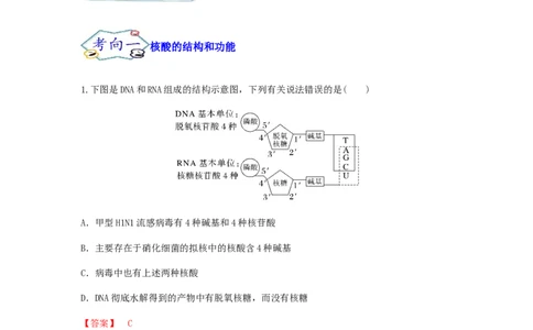 考点06核酸的结构和功能（解析版）_通用版（老高考）复习资料_2023年复习资料_一轮复习_2023年高考生物一轮复习讲练测（全国通用）