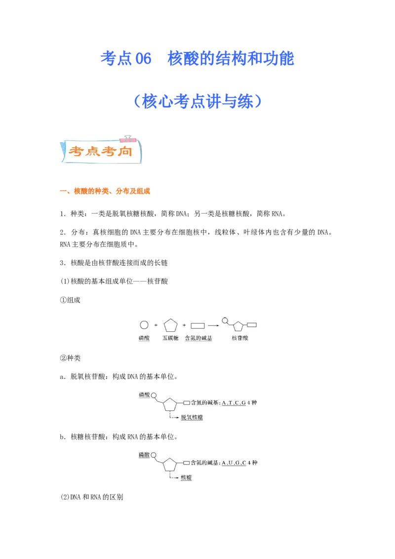 考点06核酸的结构和功能（解析版）_通用版（老高考）复习资料_2023年复习资料_一轮复习_2023年高考生物一轮复习讲练测（全国通用）