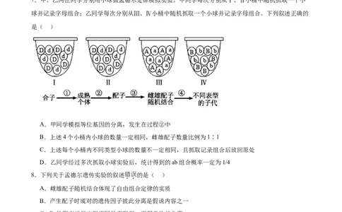 考点通关卷16基因的自由组合定律（原卷版）_2025年新高考资料_一轮复习_2025年高考生物一轮复习考点通关卷（新高考通用）