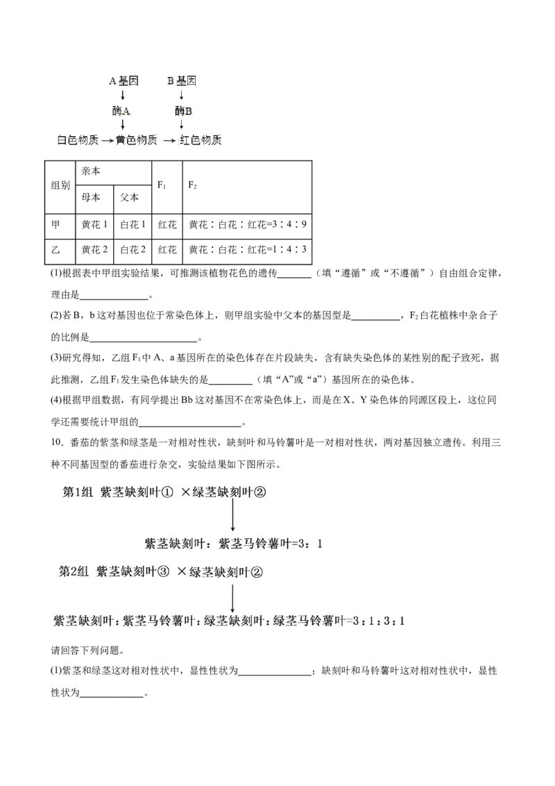 考点通关卷16基因的自由组合定律（原卷版）_2025年新高考资料_一轮复习_2025年高考生物一轮复习考点通关卷（新高考通用）