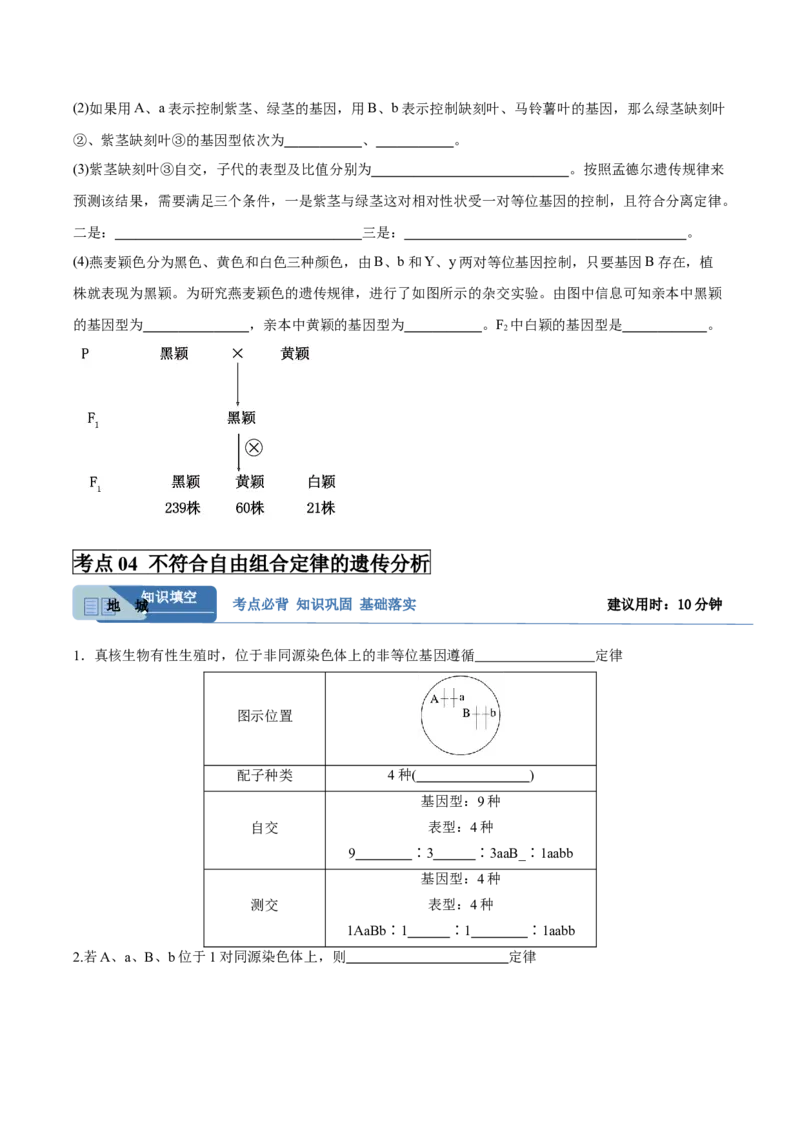 考点通关卷16基因的自由组合定律（原卷版）_2025年新高考资料_一轮复习_2025年高考生物一轮复习考点通关卷（新高考通用）