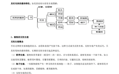 专题十一生物的生殖和发育-2023年中考生物核心考点必背合集_6生物中考复习_2023年中考复习资料_专项复习_2023年中考生物核心考点必背合集-----