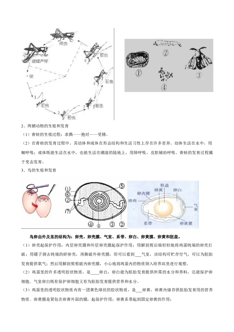 专题十一生物的生殖和发育-2023年中考生物核心考点必背合集_6生物中考复习_2023年中考复习资料_专项复习_2023年中考生物核心考点必背合集-----