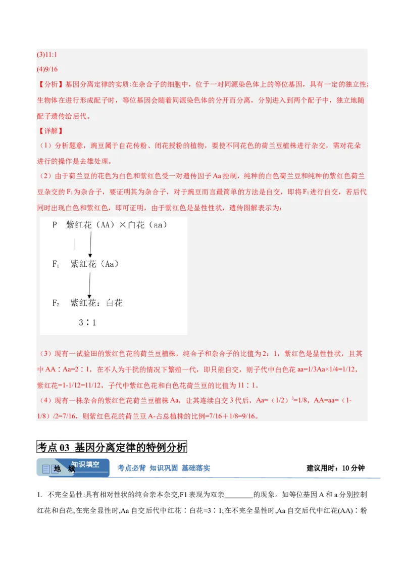 考点通关卷15基因的分离定律（解析版）_2025年新高考资料_一轮复习_2025年高考生物一轮复习考点通关卷（新高考通用）