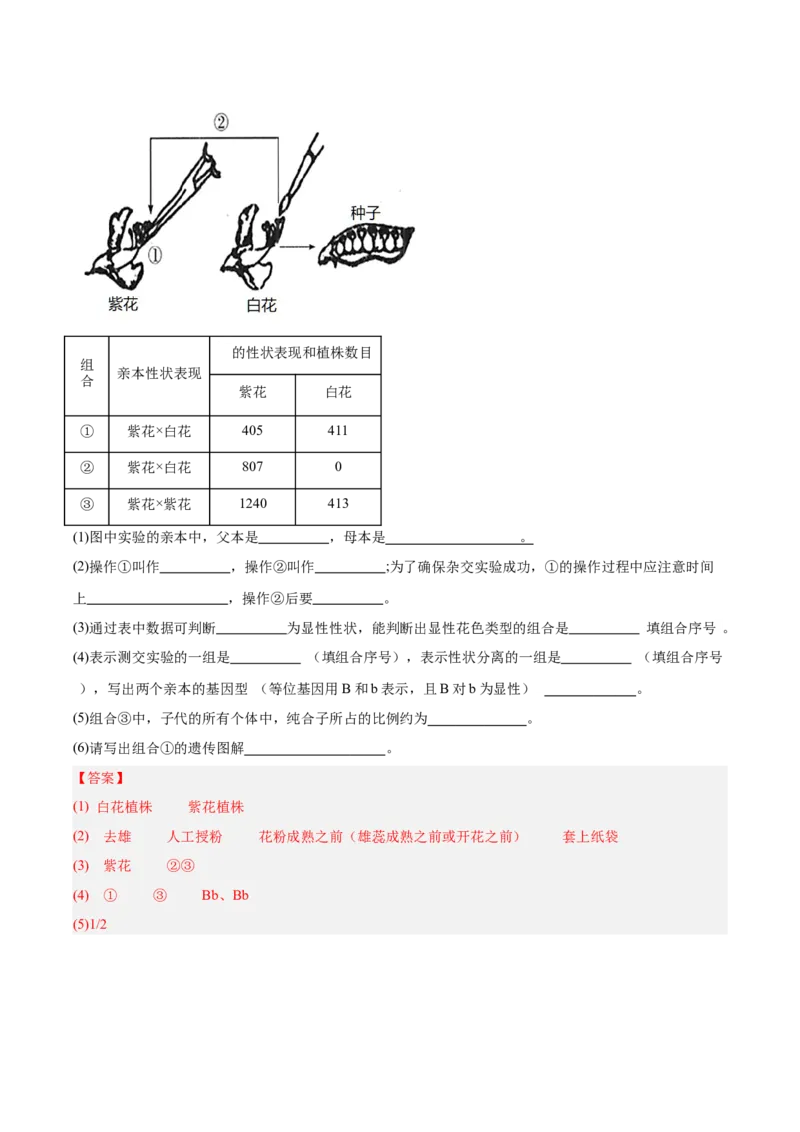 考点通关卷15基因的分离定律（解析版）_2025年新高考资料_一轮复习_2025年高考生物一轮复习考点通关卷（新高考通用）