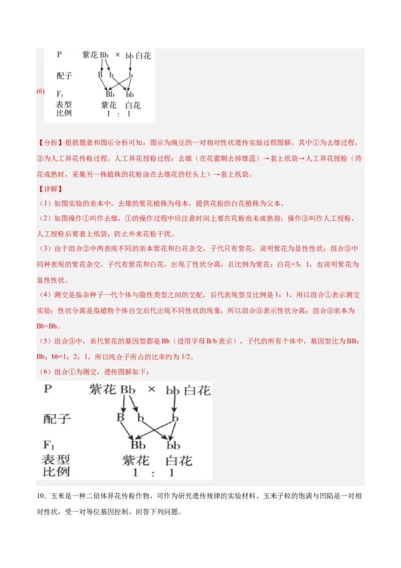 考点通关卷15基因的分离定律（解析版）_2025年新高考资料_一轮复习_2025年高考生物一轮复习考点通关卷（新高考通用）