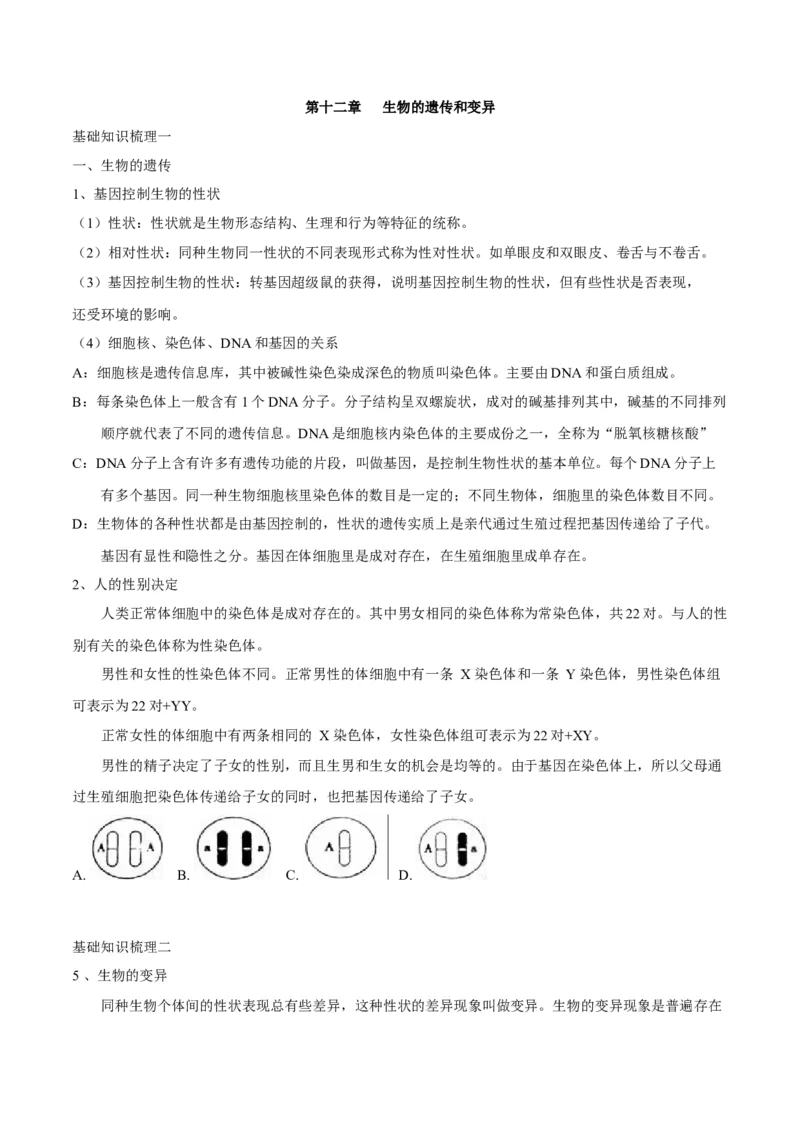 专题十二生物的遗传和变异-2023年中考生物核心考点必背合集_6生物中考复习_2023年中考复习资料_专项复习_2023年中考生物核心考点必背合集-----